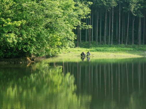 KONICA MINOLTA DIGITAL CAMERA