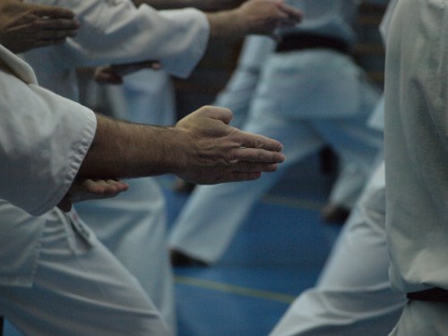 Movimientos de karate, blog la mansión del gaviero